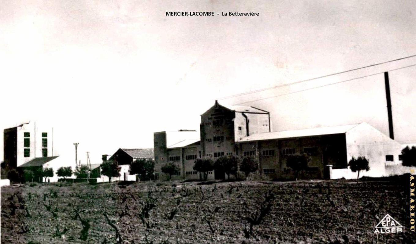 Mercier-Lacombe - La Betteraviere.jpg